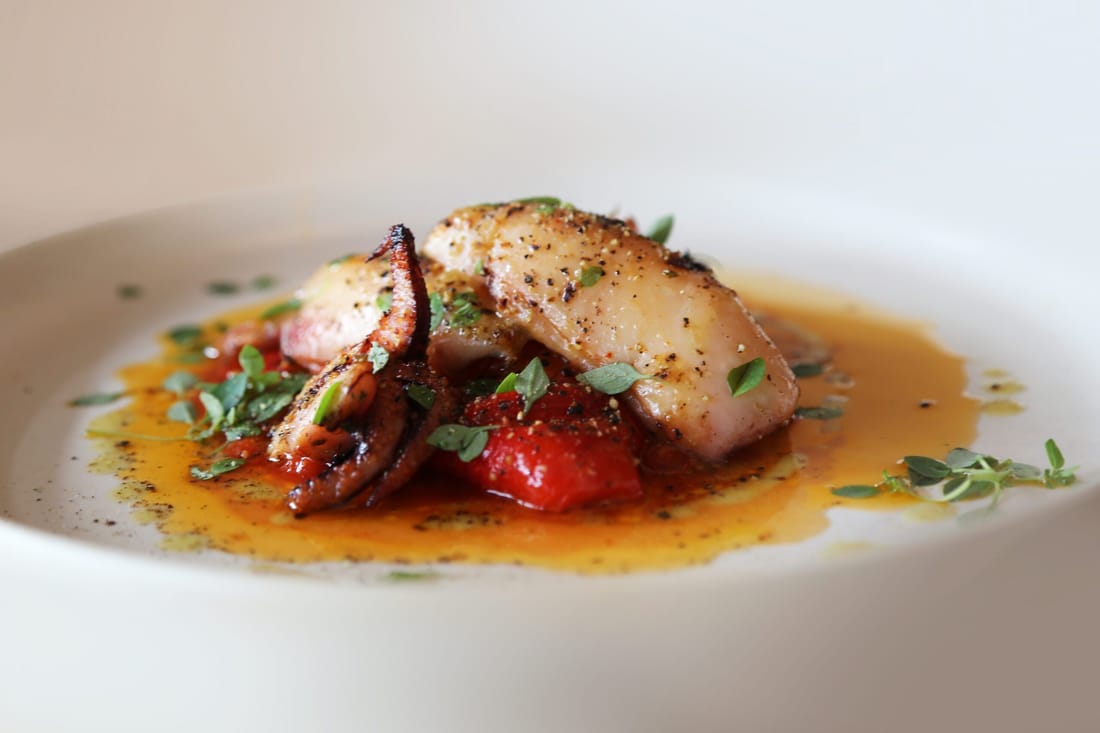 Calamar sepia, gegrilde sepia met tomatencoulis