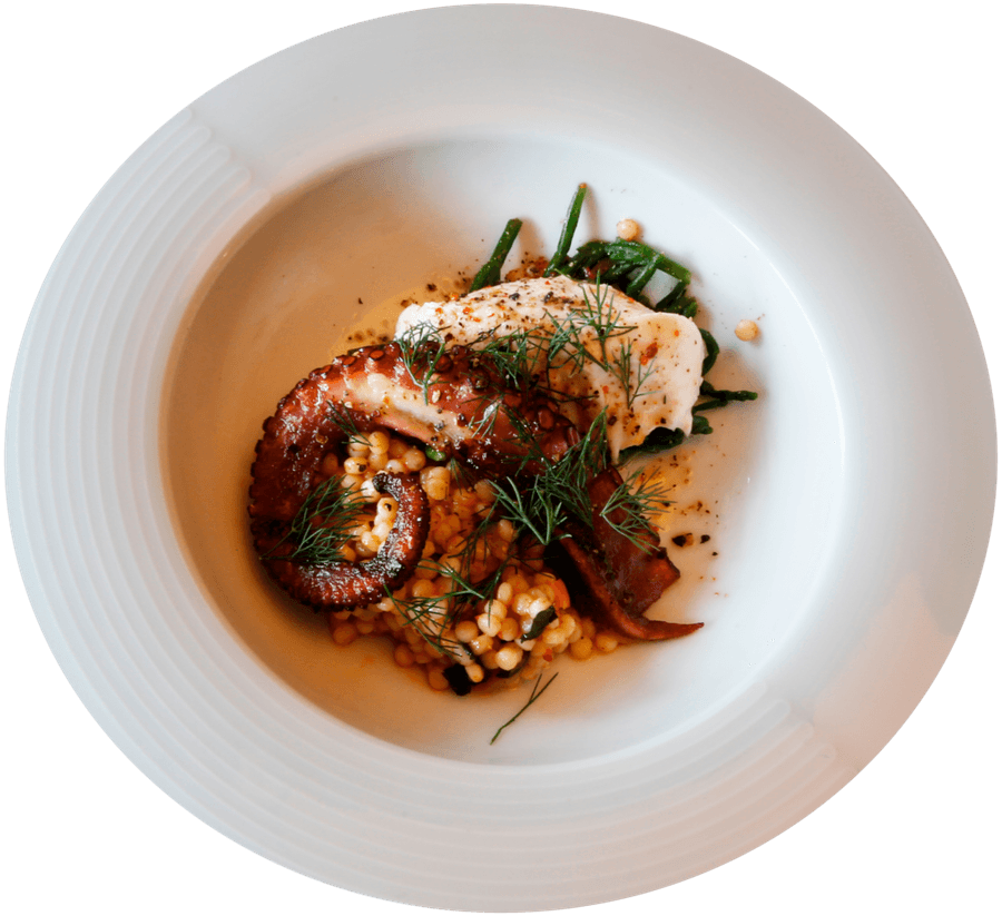 Gegrilde octopus op kikkererwtenpuree, vrijstaand bord